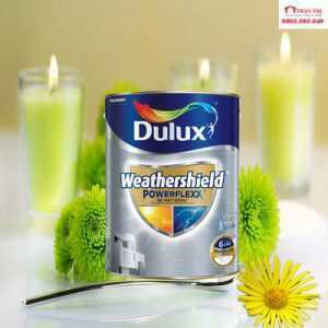 Sơn phủ ngoai thất Dulux cao cấp Huế