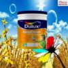 Sơn phủ nội thất Dulux giá sỉ Huế