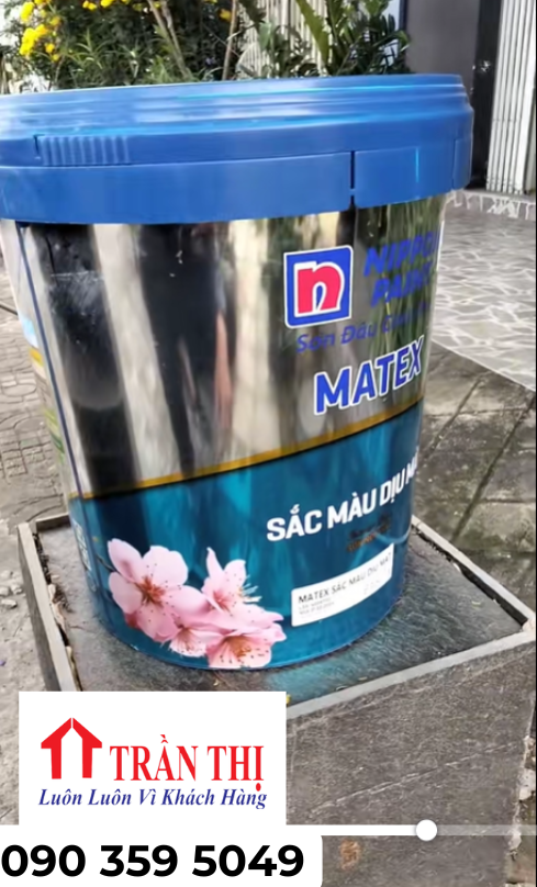 Mẫu sơn nippon Hà Nội