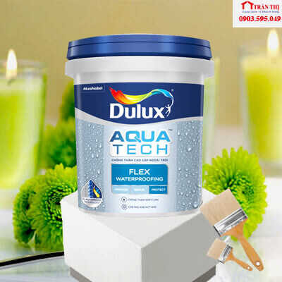 son-chong-tham-dulux-aquatech-tai-Hue