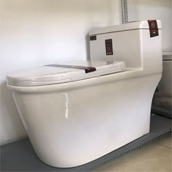 bồn cầu 1 khối tại Huế