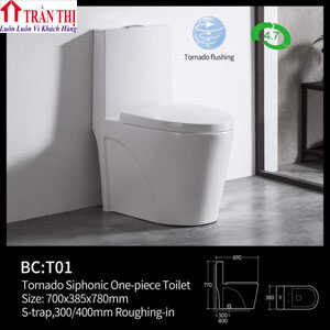 bồn cầu 2 khối tại hội an- tam kỳ- quảng nam
