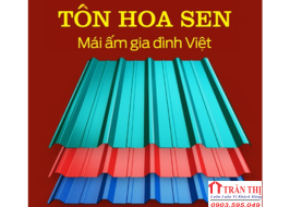 tôn hoa sen 1 tam kỳ- hội an- quảng nam