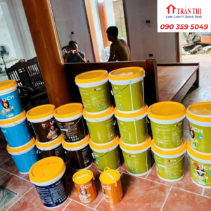 Mẫu sơn mykolor tại Đà Nẵng