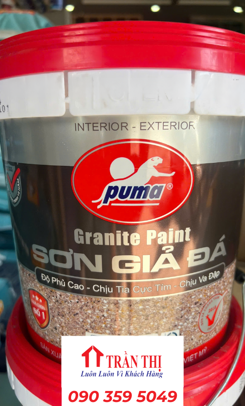 Mẫu sơn giả đá puma Đà Nẵng
